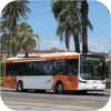 More Victorian state bus images