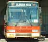 Toronto Bus Service