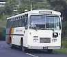 Waiheke Bus Company Bedford