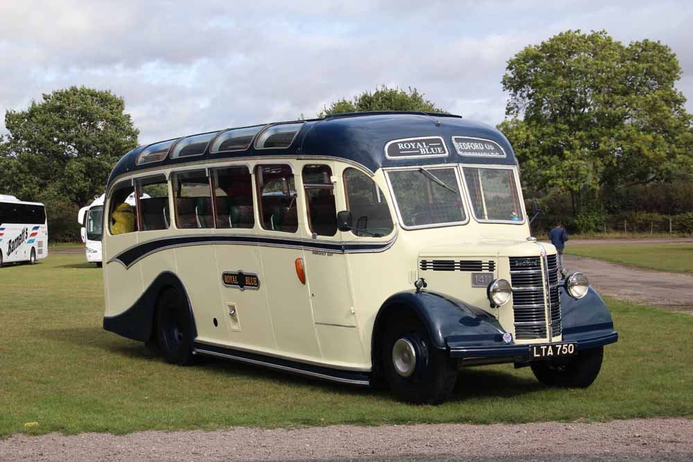 Blue Motors Royal Blue Bedford OB Duple 1411