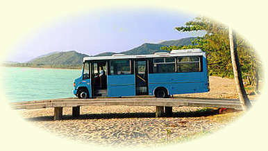 Sunbus Cairns