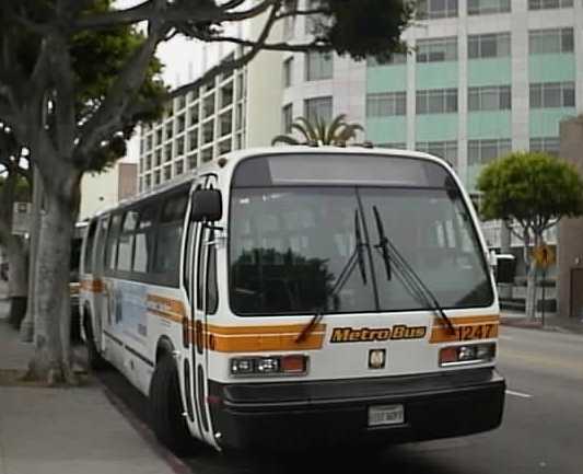 Metro Bus TMC RTS 1247