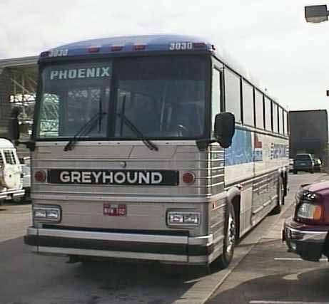 Greyhound Americruiser 2