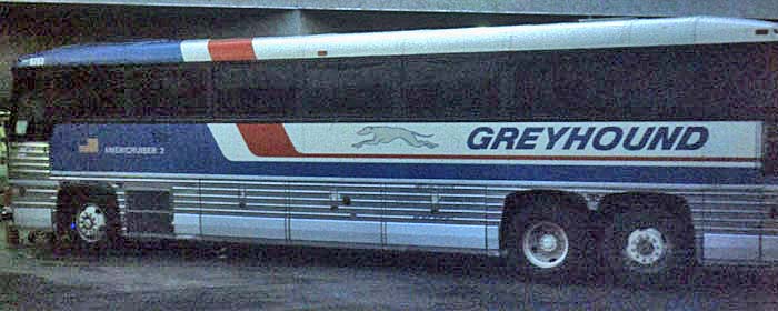Greyhound Americruiser 2