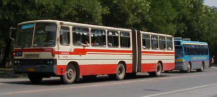 Beijing articulated bus