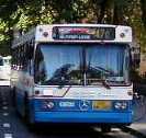 STA - Sydney Buses