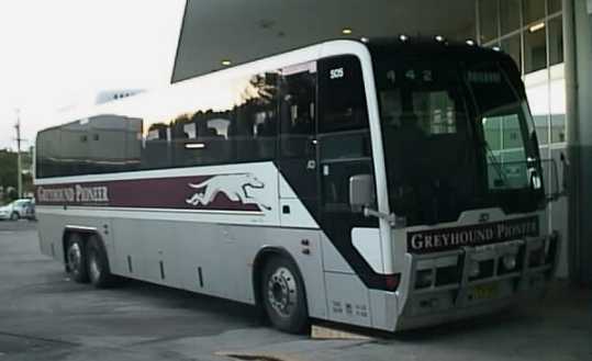 Greyhound Pioneer 505
