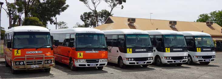 Buswest | australia.SHOWBUS.com BUS IMAGE GALLERY