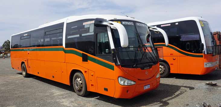 Buswest | australia.SHOWBUS.com BUS IMAGE GALLERY