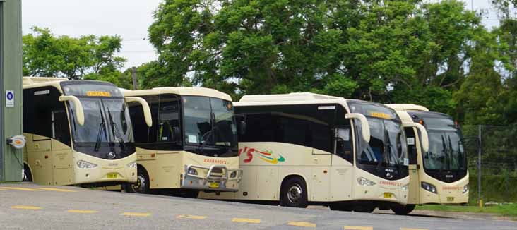 Cavanagh's of Kempsey | australia.SHOWBUS.com BUS IMAGE GALLERY | NSW