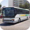 More Portuguese buses & coaches