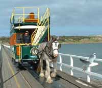 The Victor Harbour Horse Tram