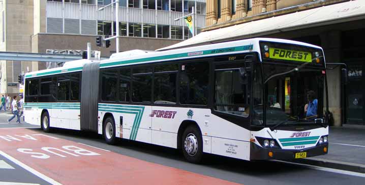 Forest Coach Lines | australia.SHOWBUS.com BUS IMAGE GALLERY | NSW
