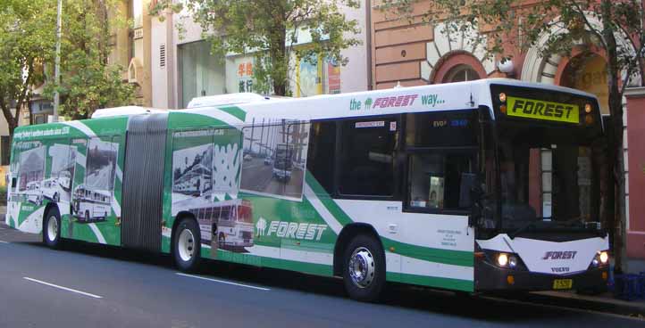 Forest Coach Lines | australia.SHOWBUS.com BUS IMAGE GALLERY