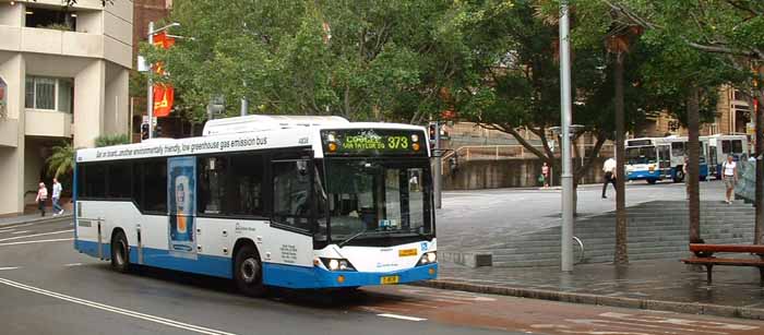 Sydney Buses | australia.SHOWBUS.com BUS IMAGE GALLERY