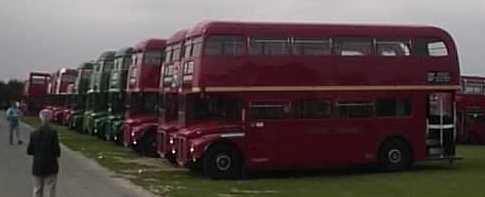 Routemasters at Millennium Showbus