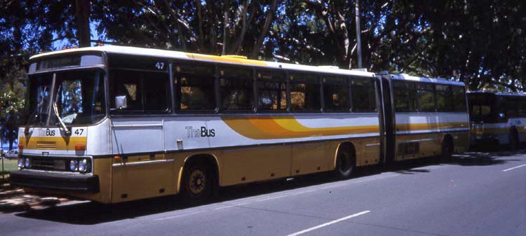 TheBus Crown-Ikarus 286 articulated 47