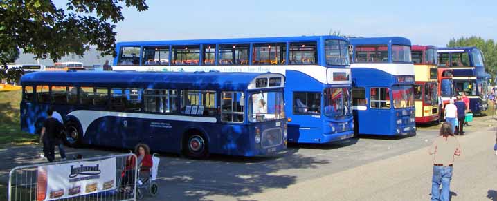 Hull Corporation Leyland Roe Panther 180 & Atlantean 270 & Stagecoach Hull Dennis Trident Alexander ALX400 18435