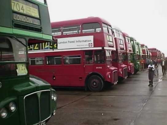 Showbus 98 Routemasters