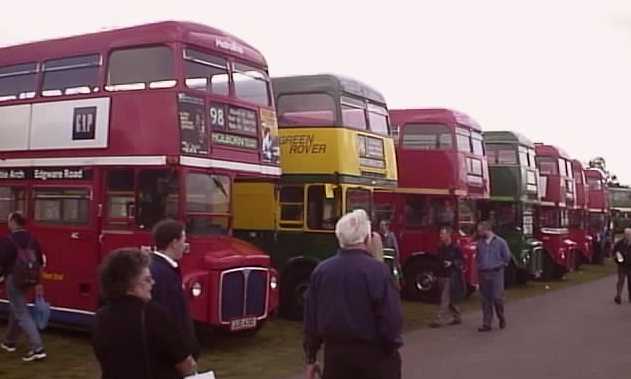 Showbus Routemasters